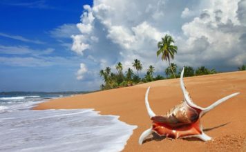 Шри-Ланка, Море, Пляж