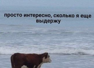 мем